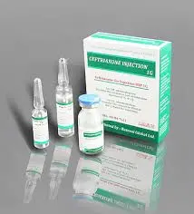  Sulbactam Sodium Injection